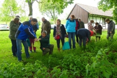 2014-05-11_Kraeuterwanderung_03