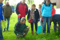 2014-05-11_Kraeuterwanderung_04