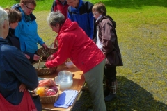 2014-05-11_Kraeuterwanderung_20