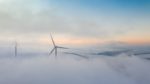 Unser Ziel: Halver klimaneutral machen