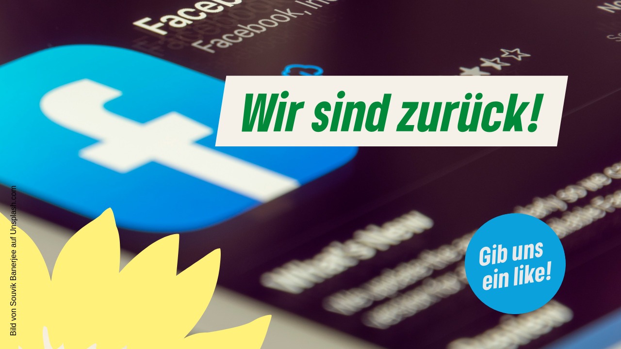 Grüne Halver - % filename%