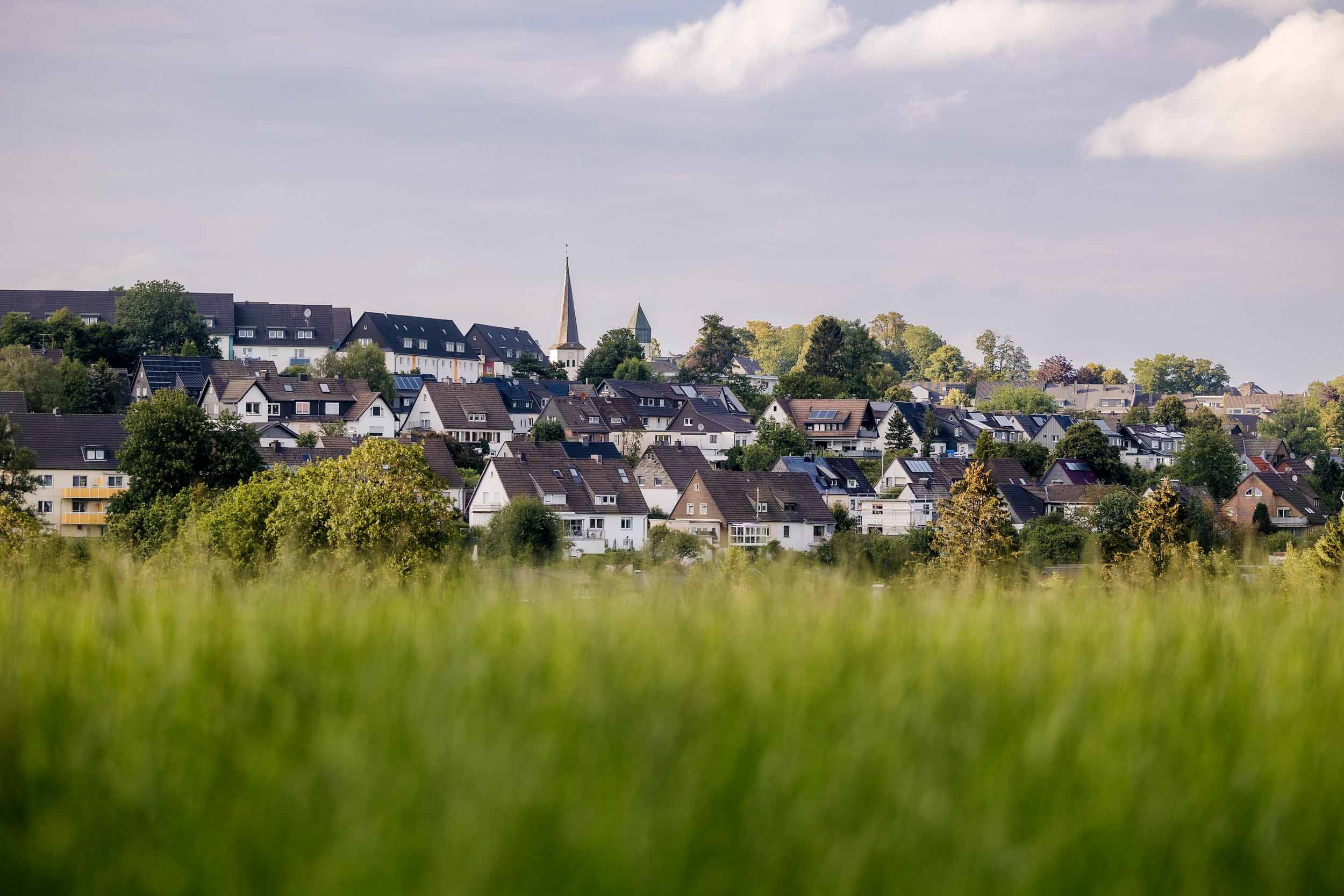 Grüne Halver - % filename%
