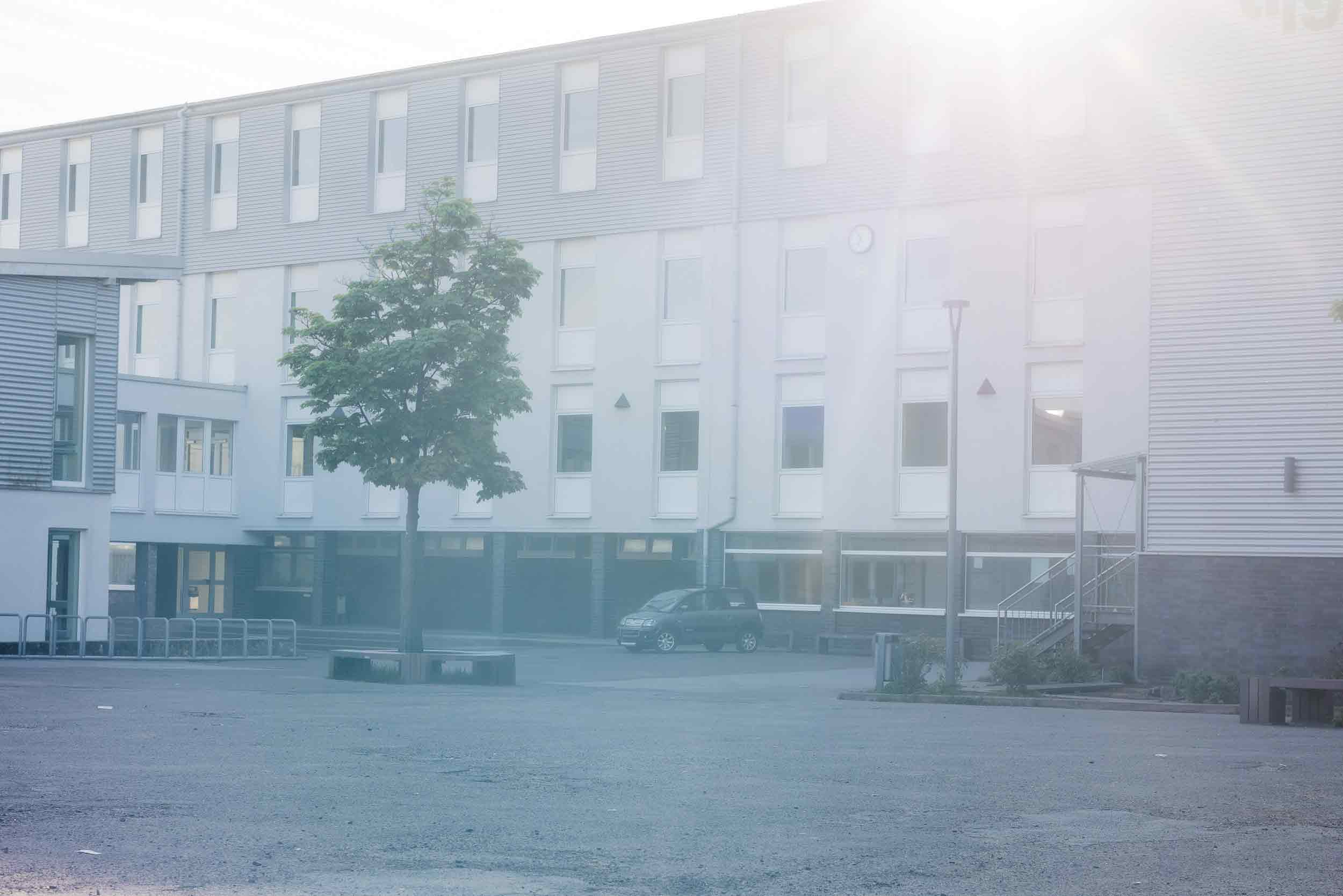 Flächenentsiegelung in Halver: Wie du mitmachst und warum das wichtig ist 3 Grüne Halver - % filename%