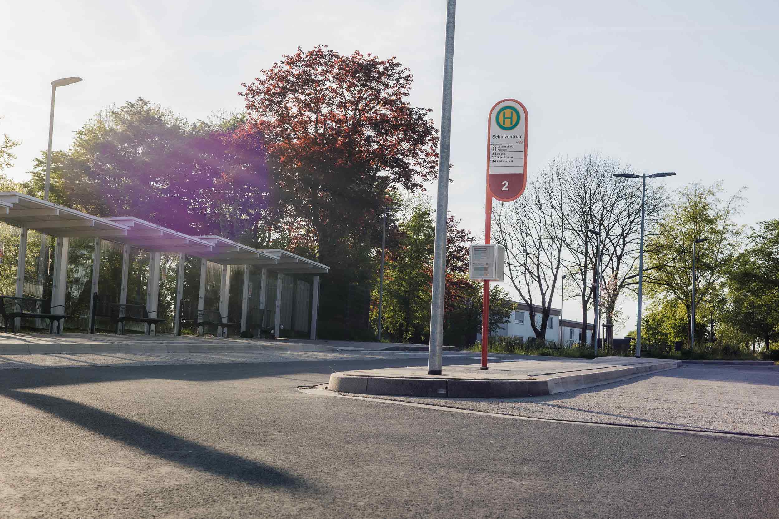 Flächenentsiegelung in Halver: Wie du mitmachst und warum das wichtig ist 4 Grüne Halver - % filename%