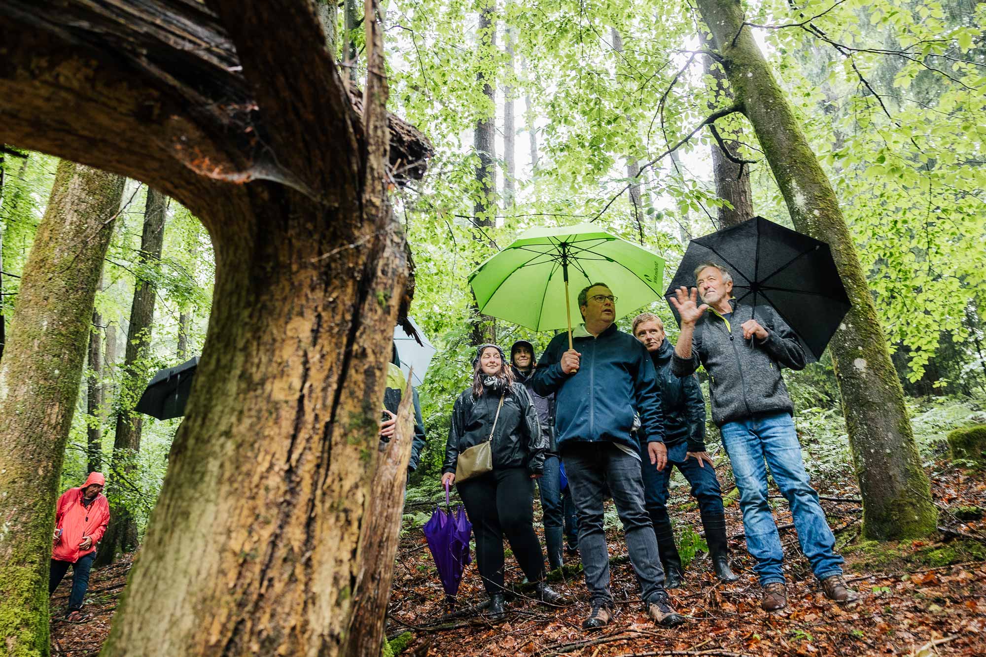 Ministerbesuch in Halver: Grüne Impulse für Umwelt & Verkehr 2 Zur Bürgermeisterwahl in Halver besuchte uns NRW Verkehrsminister Oliver Krischer und ging mit uns Wandern!