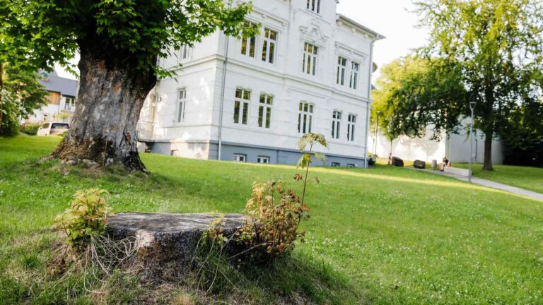 Baumfällungen Halver: Warum Schweigen keine Lösung ist