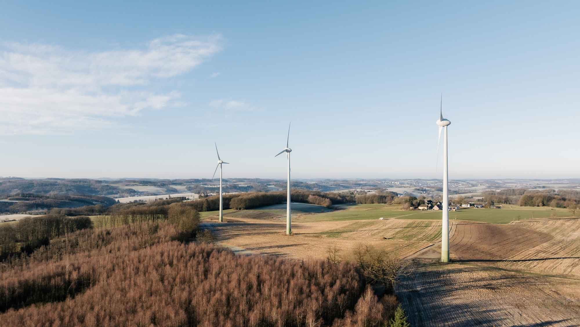 Grüne Halver - % filename%