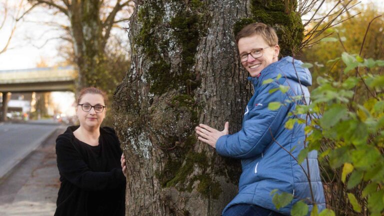 Klimanpassung in Halver – Unsere Vision für die Lindenallee