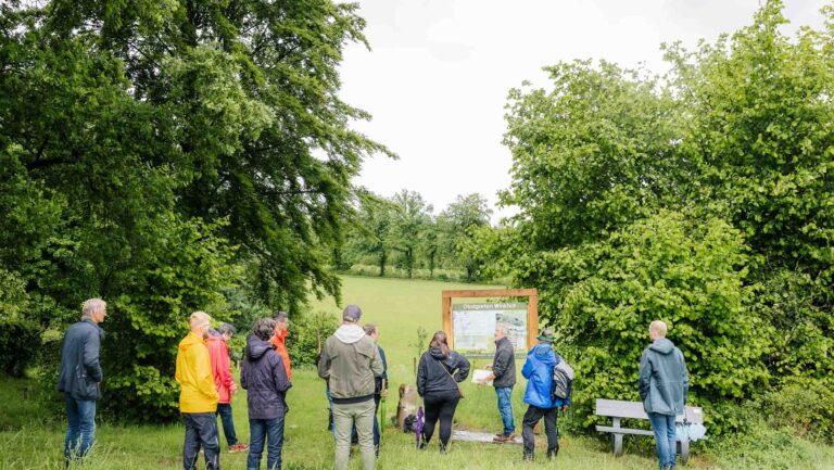 Ökopunkte in Halver erklärt: Wie unser Wald die Stadtkasse füllen kann