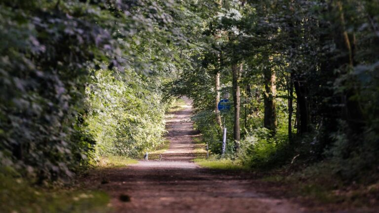 Radweg Bahntrasse Halver: Warum wir Nein gesagt haben – und was dahintersteckt