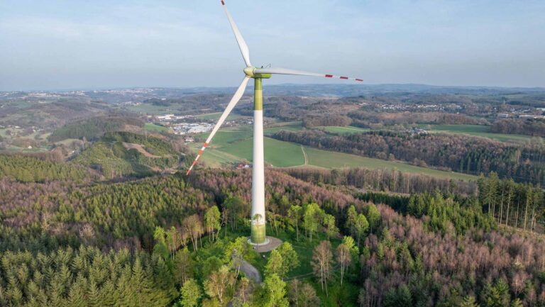 Was Windräder wirklich mit der Umwelt machen – und was nicht