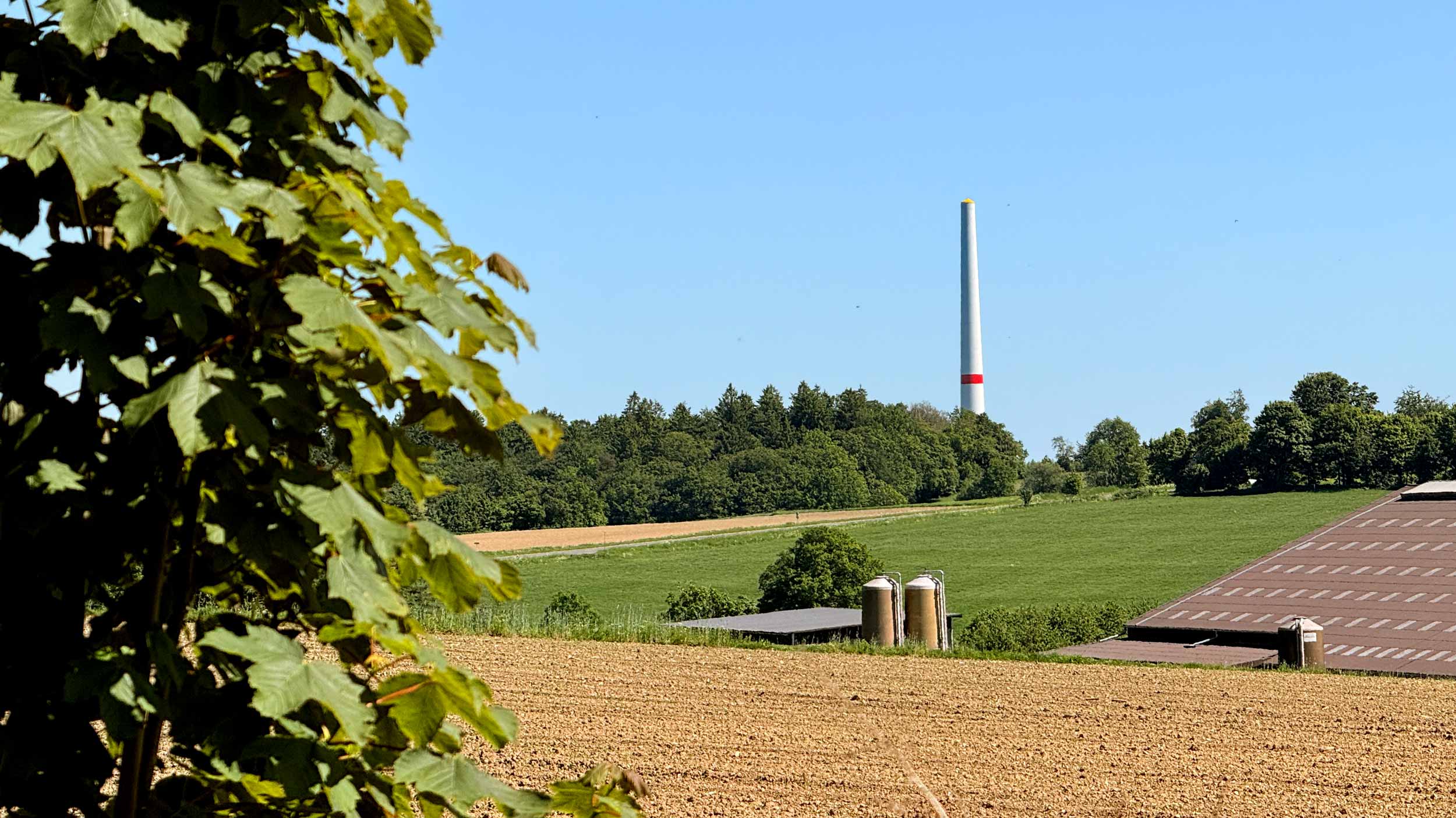 Grüne Halver - % filename%