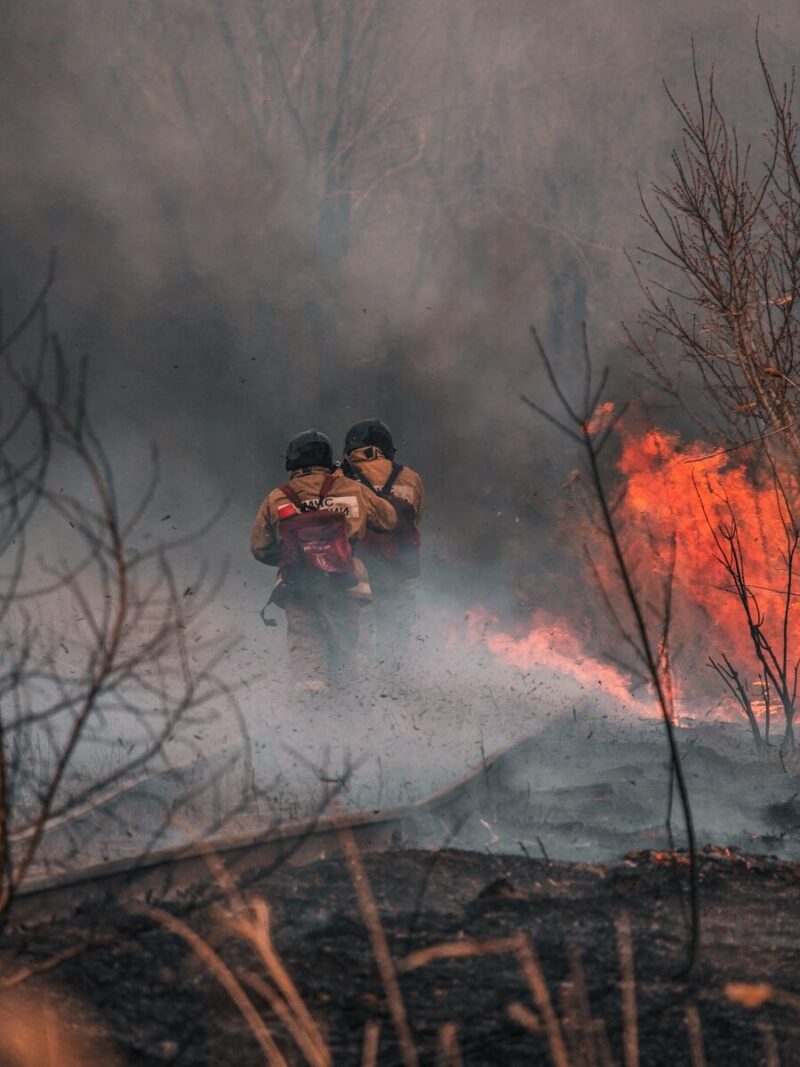 Feuerwehrleute in brennendem Wald