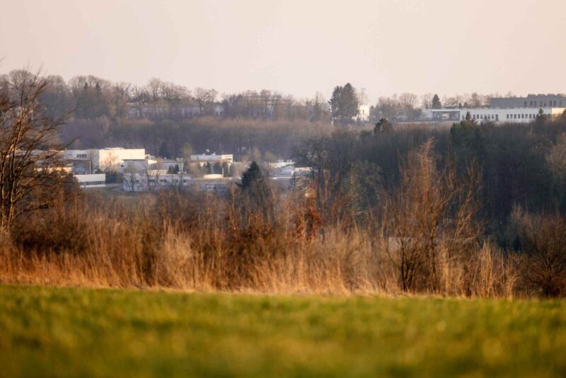 Blick über eine Wiese, im Hintergrund Industriegebiet