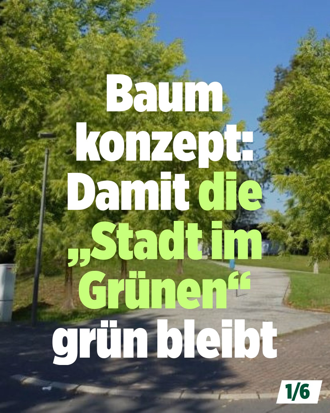 Baumpflanzkonzept für Halver: 146 neue Bäume und kluger Schutz für das Stadtklima