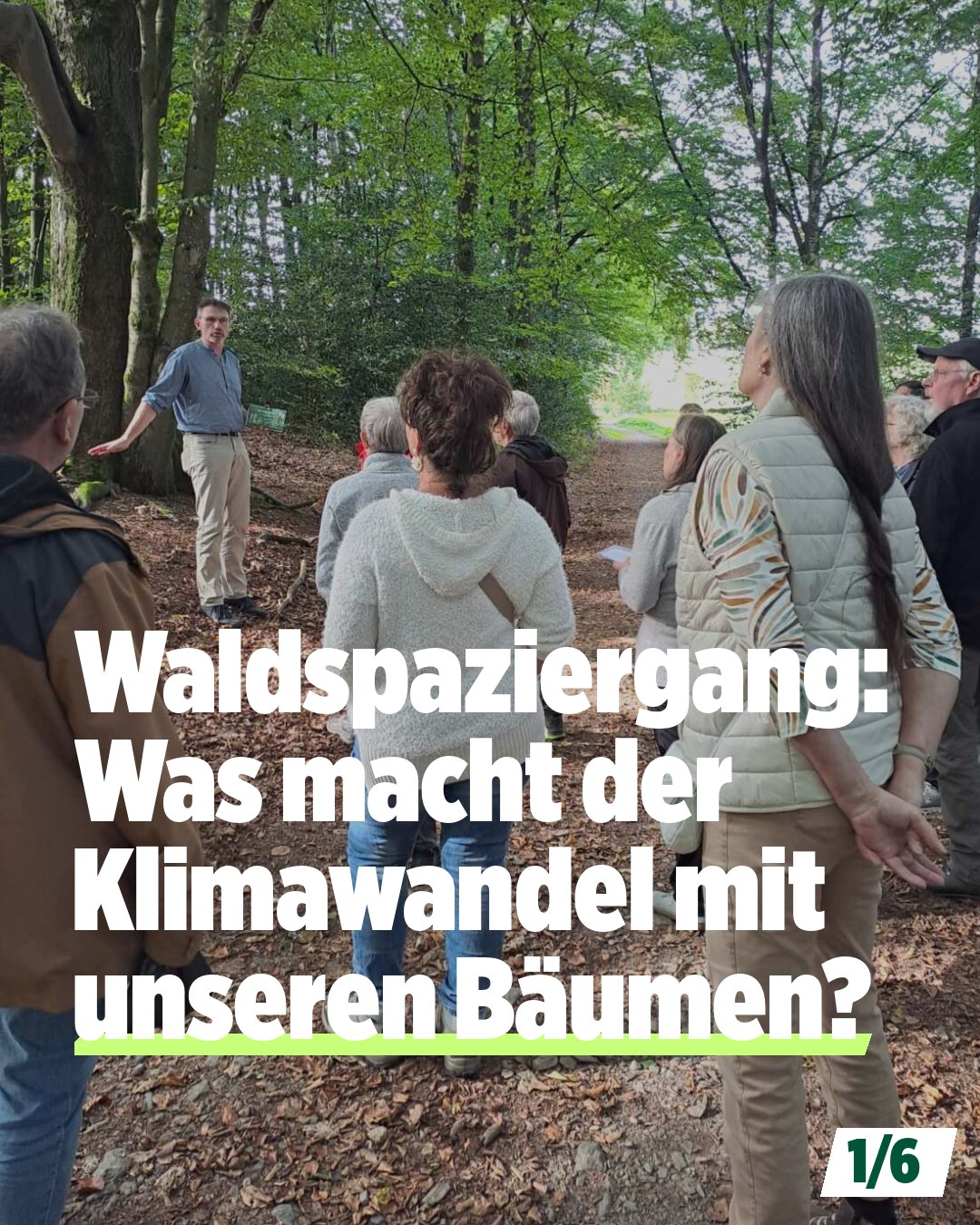 Ein Waldspaziergang, der nachdenklich macht